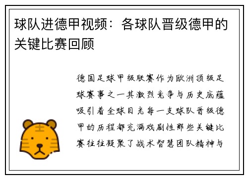球队进德甲视频：各球队晋级德甲的关键比赛回顾